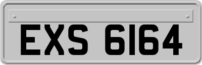 EXS6164