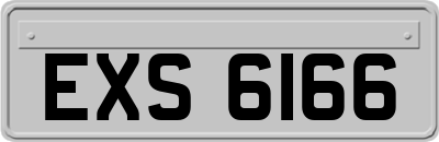 EXS6166