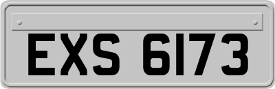 EXS6173