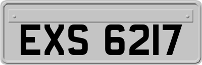 EXS6217