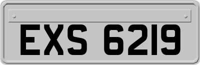 EXS6219