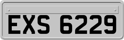 EXS6229