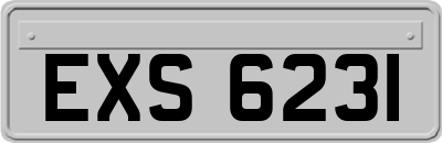 EXS6231
