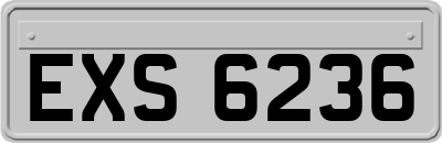 EXS6236