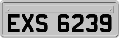 EXS6239
