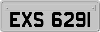 EXS6291