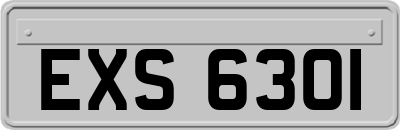 EXS6301