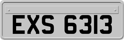 EXS6313