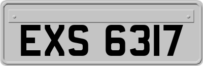 EXS6317
