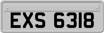 EXS6318