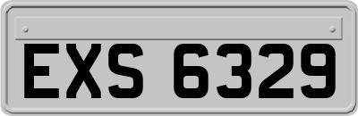 EXS6329