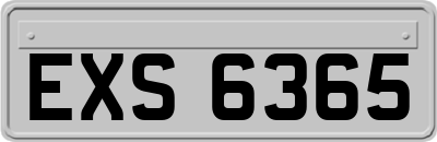 EXS6365