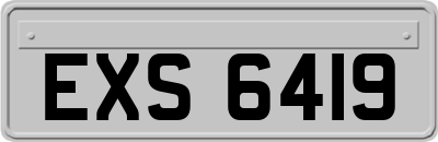 EXS6419