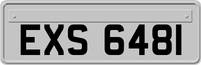 EXS6481