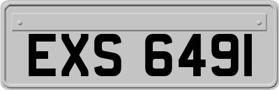EXS6491