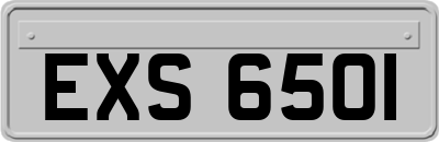 EXS6501