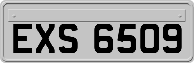 EXS6509