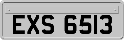 EXS6513