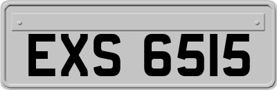 EXS6515