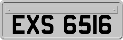 EXS6516