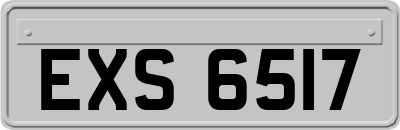 EXS6517
