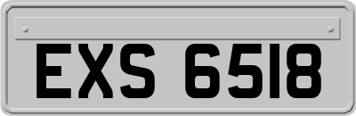 EXS6518