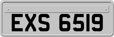 EXS6519