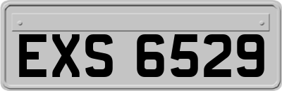EXS6529