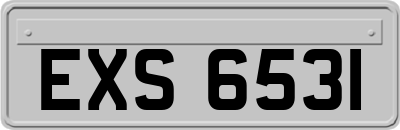 EXS6531