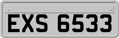 EXS6533