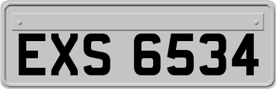 EXS6534
