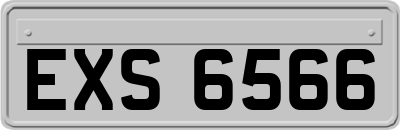 EXS6566