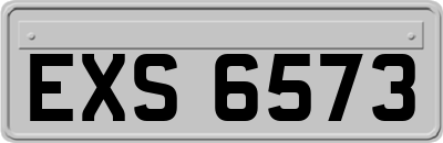 EXS6573