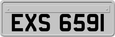 EXS6591
