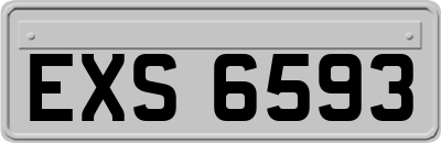 EXS6593