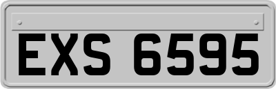 EXS6595