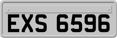 EXS6596