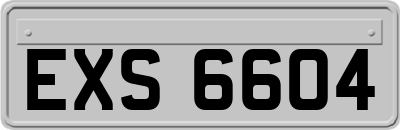 EXS6604