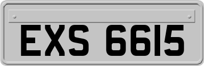 EXS6615