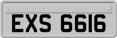 EXS6616
