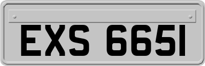 EXS6651