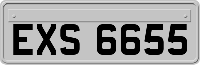 EXS6655