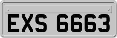 EXS6663