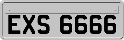 EXS6666