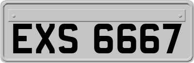 EXS6667
