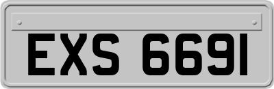 EXS6691