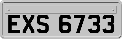 EXS6733