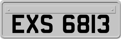 EXS6813
