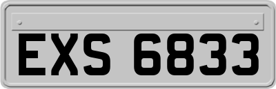 EXS6833