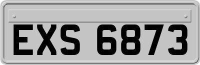 EXS6873